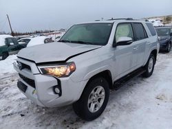 Salvage cars for sale at Anchorage, AK auction: 2019 Toyota 4runner SR5