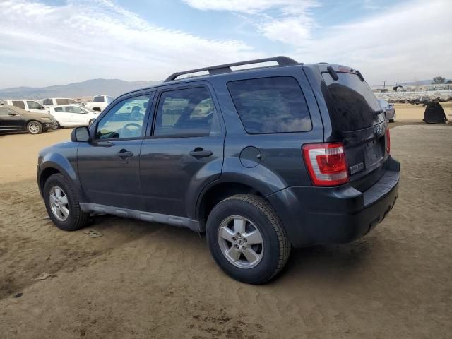 2009 Ford Escape XLT