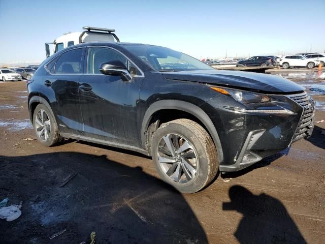 2021 Lexus NX 300H Base