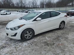 Salvage cars for sale at Ellwood City, PA auction: 2014 Hyundai Elantra SE