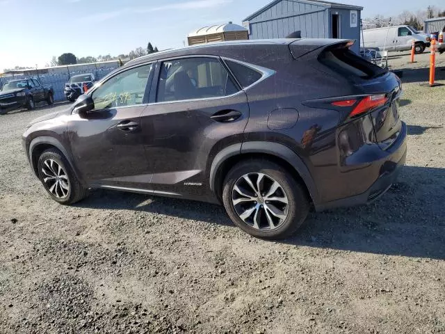 2015 Lexus NX 300H