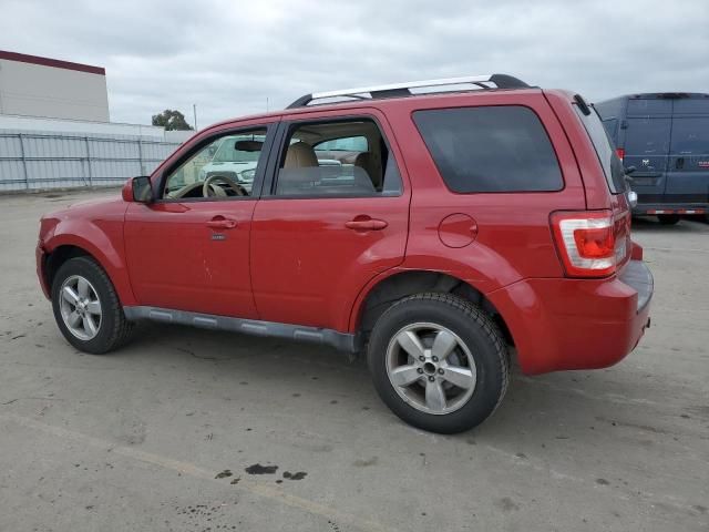 2011 Ford Escape Limited