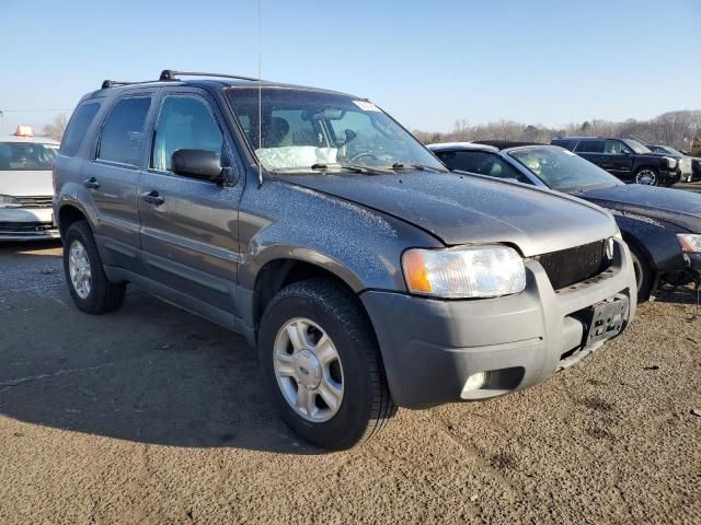 2004 Ford Escape XLT