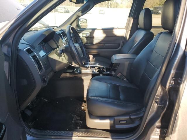 2010 Ford Escape Limited