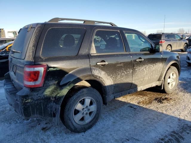 2011 Ford Escape XLT