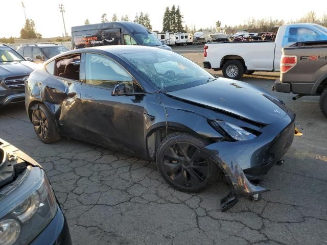 2025 Tesla Model Y