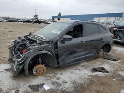 Salvage cars for sale at Woodhaven, MI auction: 2023 Ford Escape ST Line Select