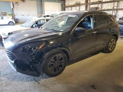 Salvage cars for sale at Eldridge, IA auction: 2021 Ford Escape SEL