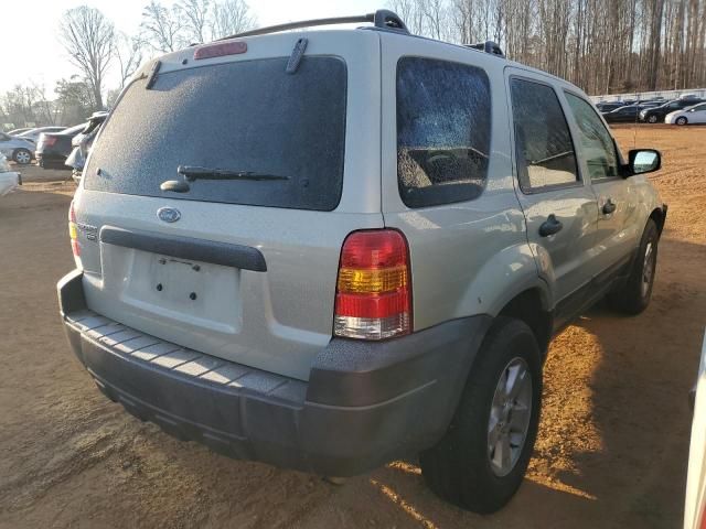 2005 Ford Escape XLT