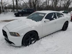 Salvage cars for sale at Cicero, IN auction: 2014 Dodge Charger SXT