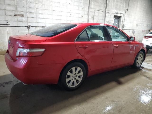 2008 Toyota Camry Hybrid