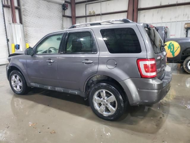 2011 Ford Escape Limited