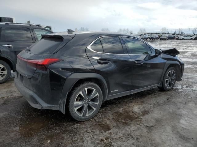 2019 Lexus UX 250H