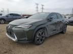 2020 Lexus UX 250H