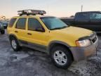 2002 Ford Escape XLT