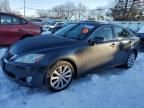 2009 Lexus IS 250