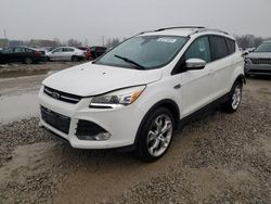 Salvage cars for sale from Copart Columbus, OH: 2014 Ford Escape Titanium