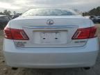 2009 Lexus ES 350