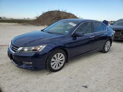 Salvage cars for sale at Temple, TX auction: 2013 Honda Accord EXL