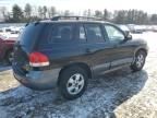 2006 Hyundai Santa FE GLS