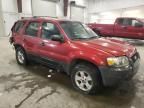 2005 Ford Escape XLT