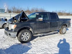 Ford f-150 salvage cars for sale: 2012 Ford F150 Supercrew