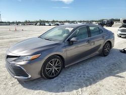 Salvage cars for sale at Arcadia, FL auction: 2023 Toyota Camry XLE