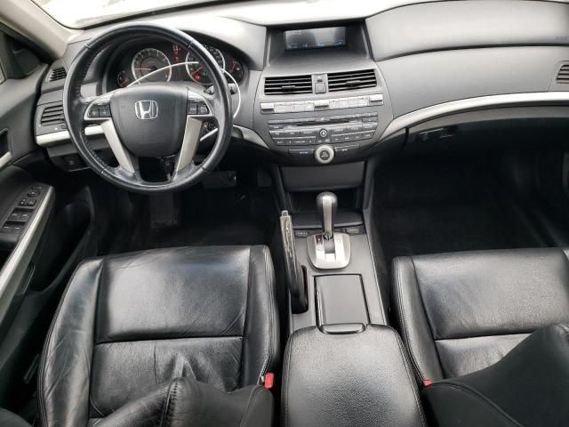 2010 Honda Accord EXL