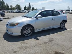 Scion salvage cars for sale: 2006 Scion TC