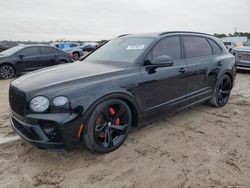 Bentley salvage cars for sale: 2023 Bentley Bentayga