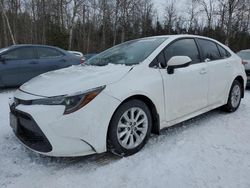 Salvage cars for sale at Cookstown, ON auction: 2022 Toyota Corolla LE