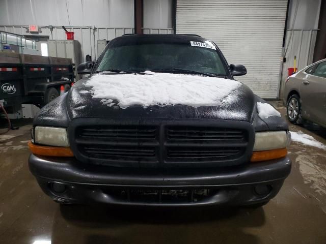 2002 Dodge Dakota Base