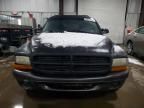 2002 Dodge Dakota Base