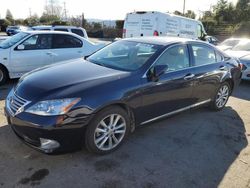 Lexus Vehiculos salvage en venta: 2010 Lexus ES 350