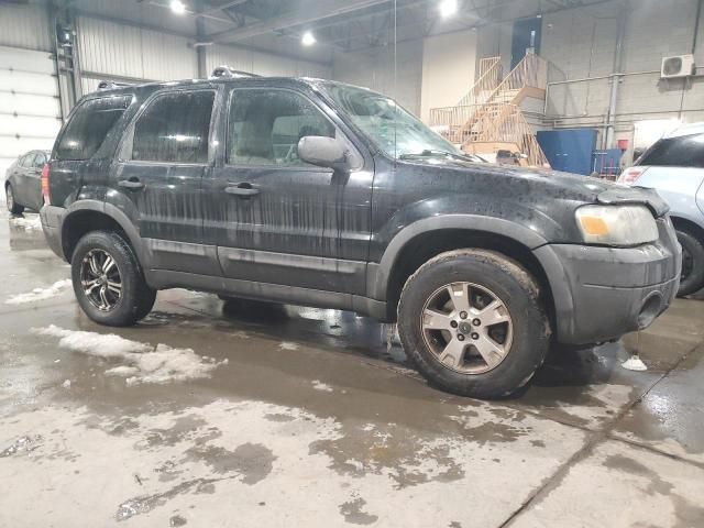 2007 Ford Escape XLT