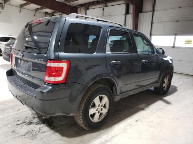 2009 Ford Escape XLT