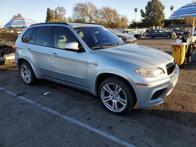 2010 BMW X5 M