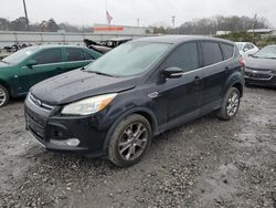 Salvage cars for sale at Montgomery, AL auction: 2013 Ford Escape SEL