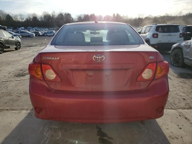 2010 Toyota Corolla Base