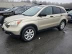 2009 Honda CR-V EX