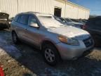 2007 Hyundai Santa FE GLS