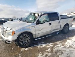 Salvage cars for sale at auction: 2013 Ford F150 Supercrew