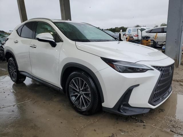 2024 Lexus NX 250 Premium