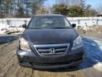 2007 Honda Odyssey EXL