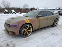 Dodge salvage cars for sale: 2017 Dodge Charger SXT