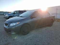 Toyota Corolla salvage cars for sale: 2009 Toyota Corolla Base