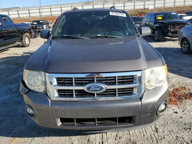 2011 Ford Escape XLT