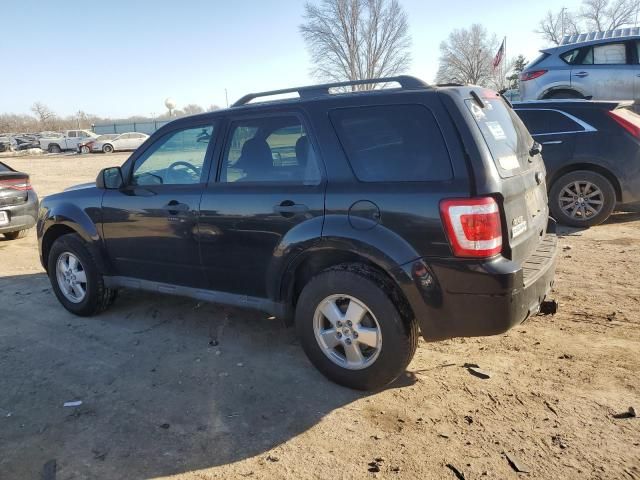 2011 Ford Escape XLT