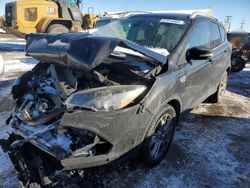 Salvage cars for sale at Brighton, CO auction: 2015 Ford Escape Titanium