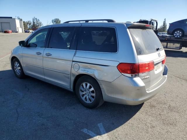 2009 Honda Odyssey EXL